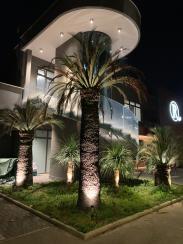 Esterno Esercizio Commerciale